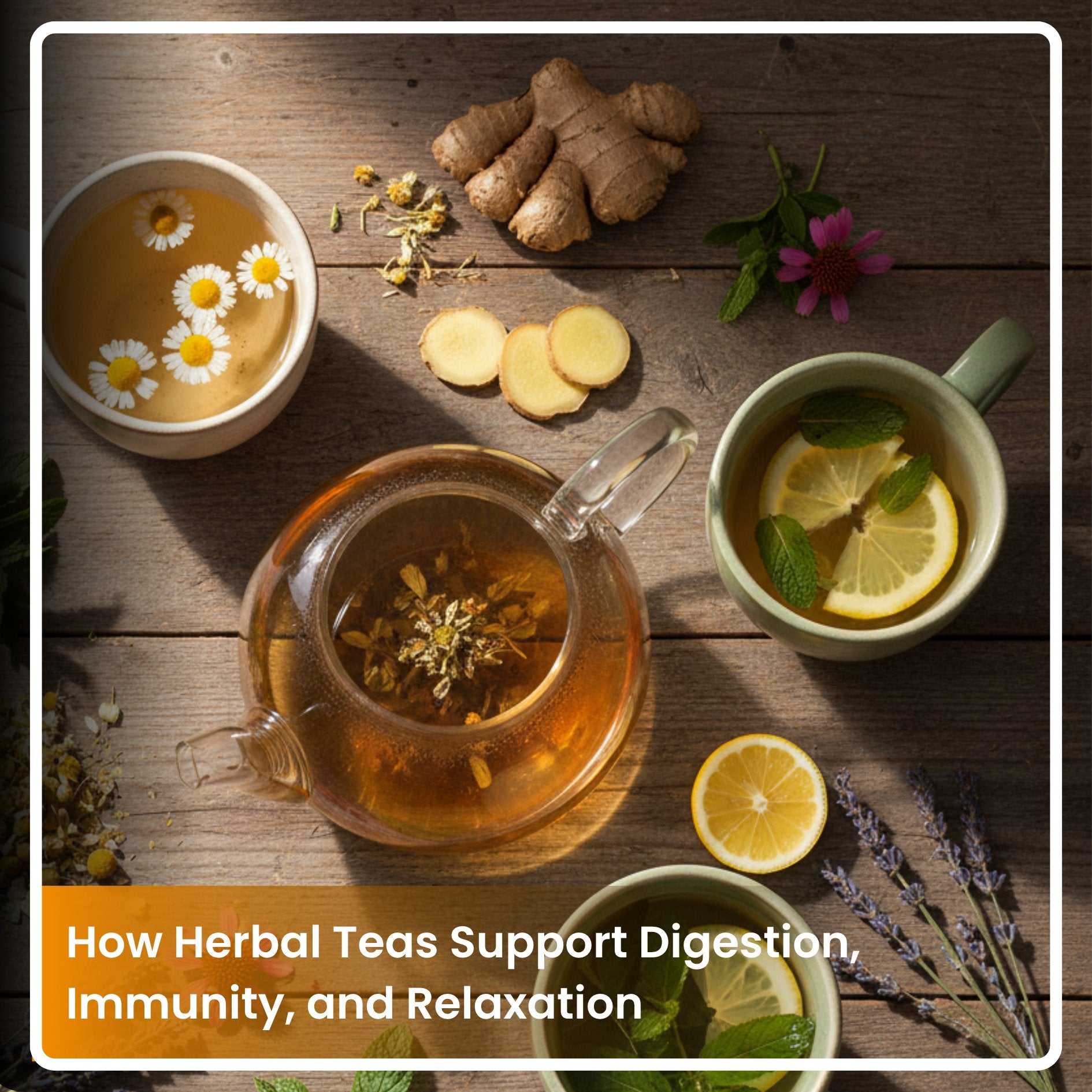 How Herbal Teas Support Digestion