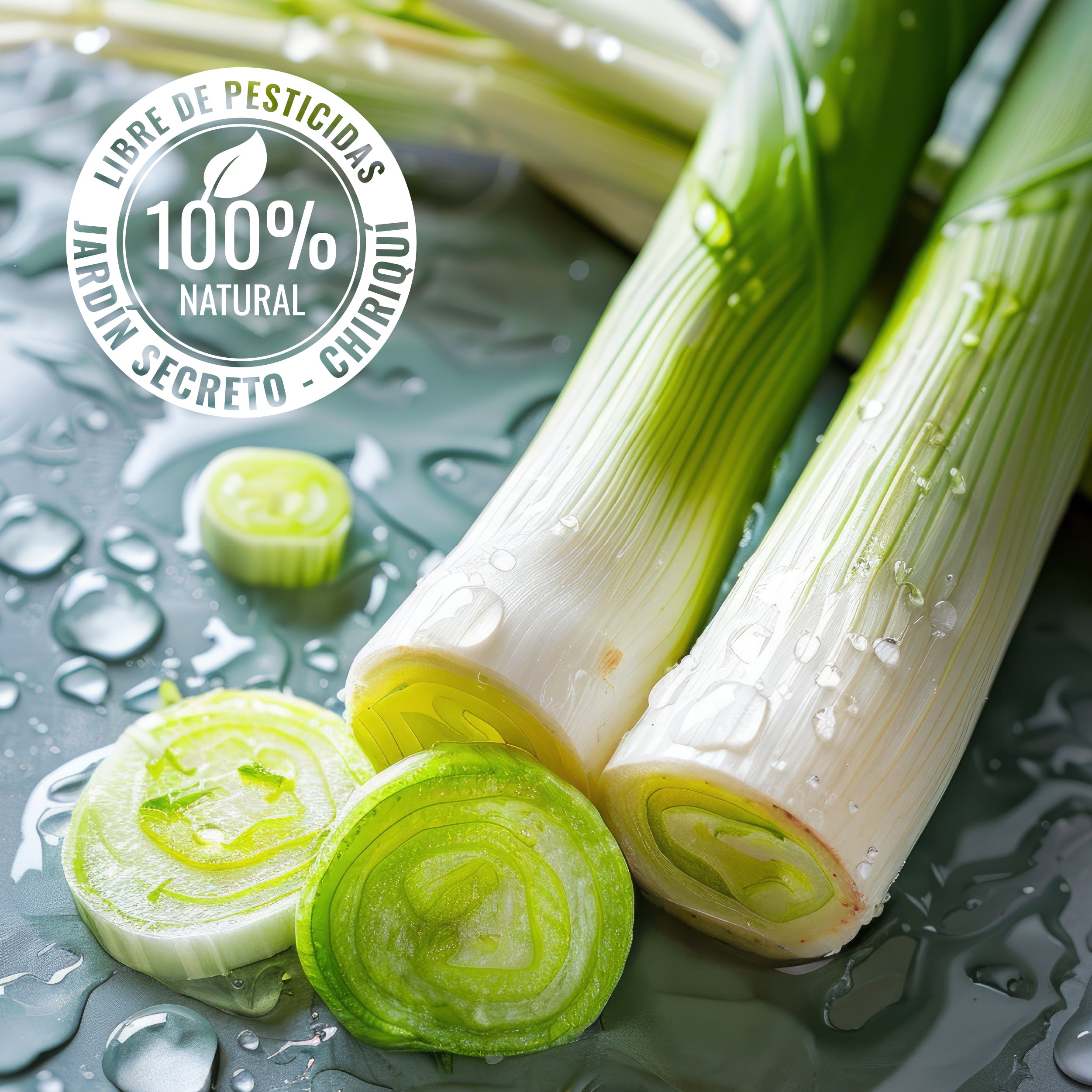 Green Onion (Vitamin A, C, and K)